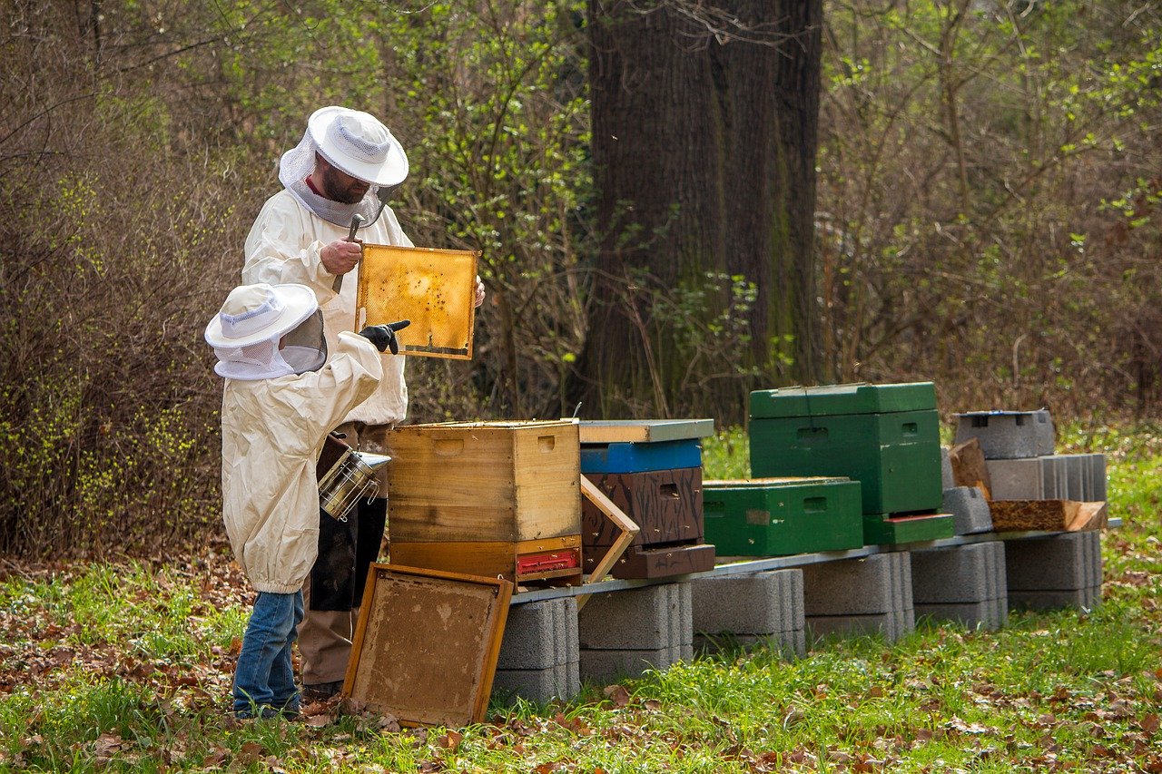 Propriétaires de ruches