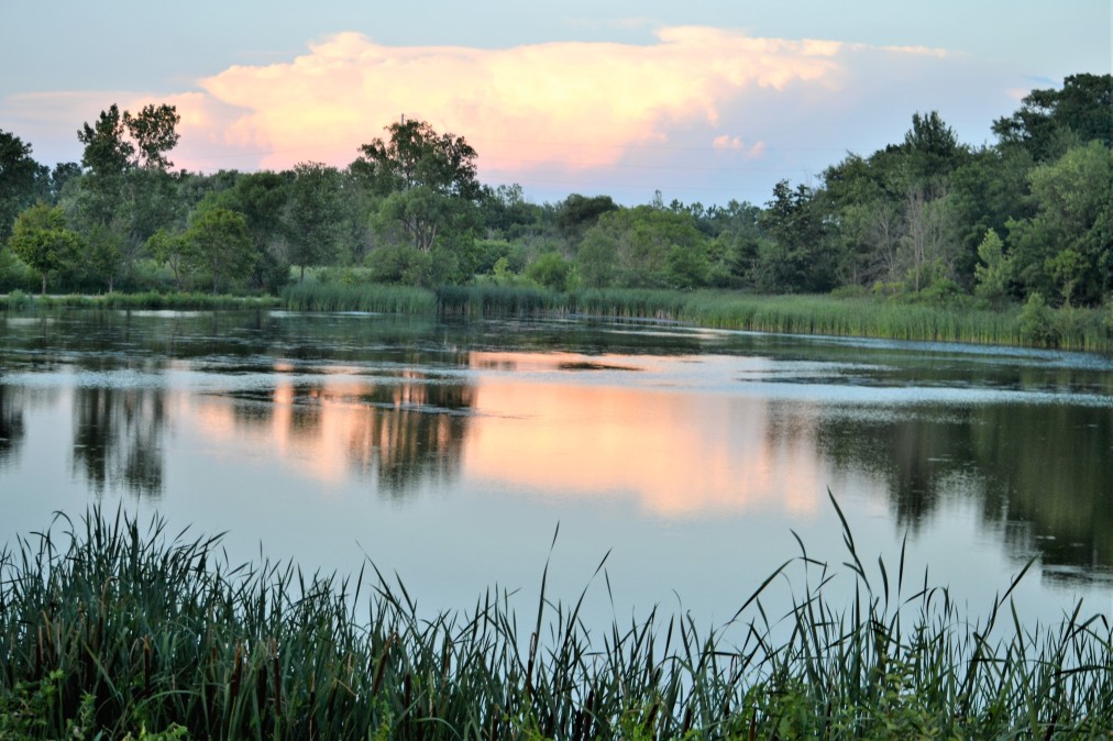 Propriétaire de Plan d’eau